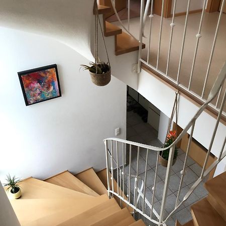 House With Castle View & Art Apartment Gunzburg Bagian luar foto